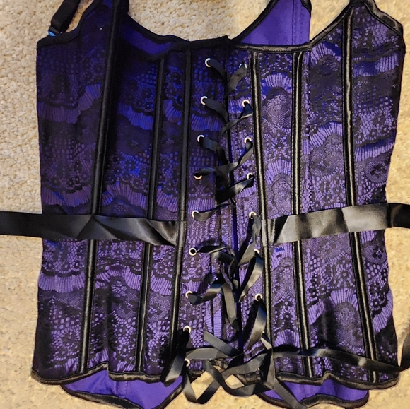 Nwot Lingerie Corset Bustier Bone In Hookeye Garters Large - Picture 4 of 6